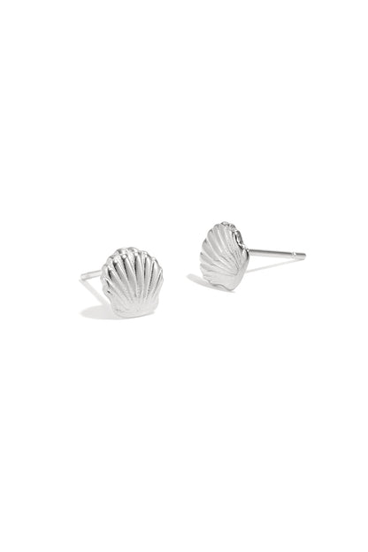 shell stud earrings
