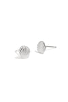 shell stud earrings