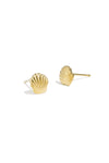 shell stud earrings