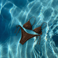 ruine studs bikini hangend, gouden embellishments detail, MaeClaire
