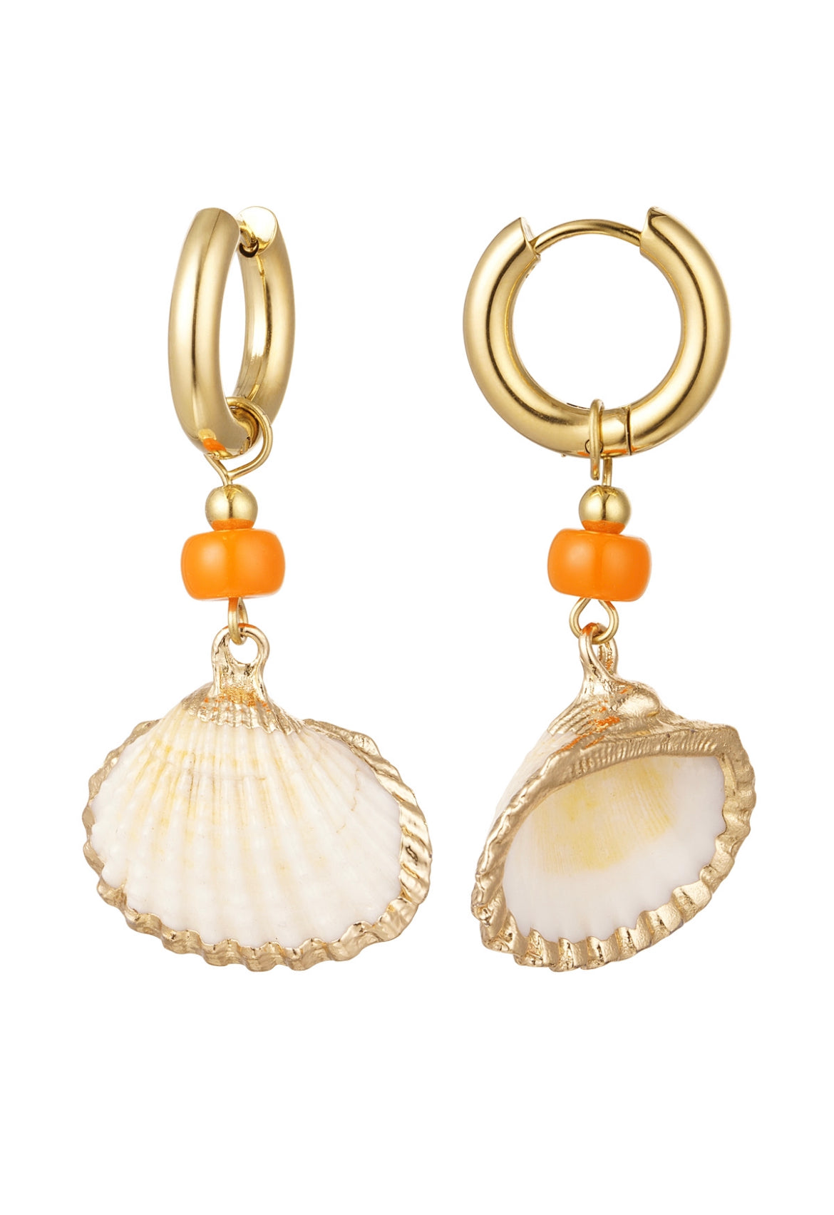 Earrings seashell